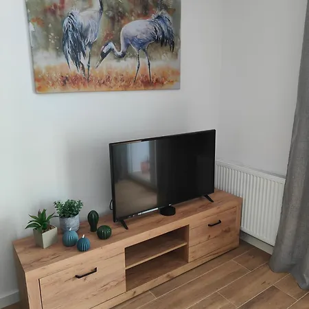 Jan Apartment *